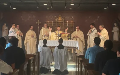 St. Louis University